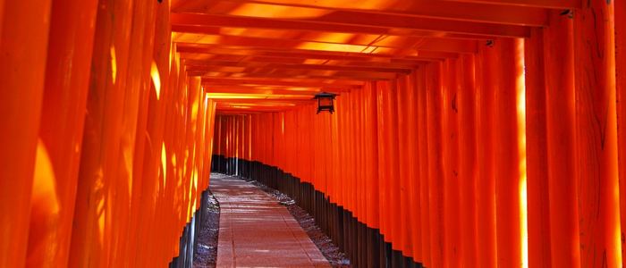 新婚旅行(ハネムーン)やカップル旅行におすすめの国内旅行:静岡県・富士山麓