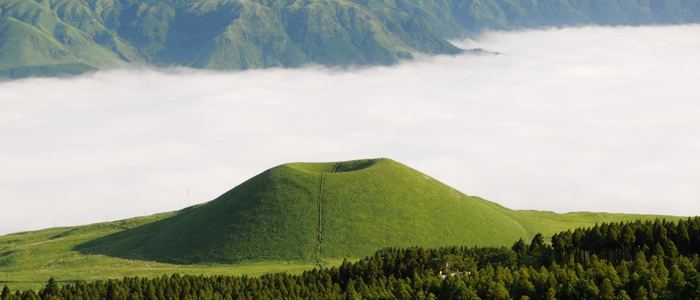 新婚旅行(ハネムーン)やカップル旅行におすすめの国内旅行:静岡県・富士山麓